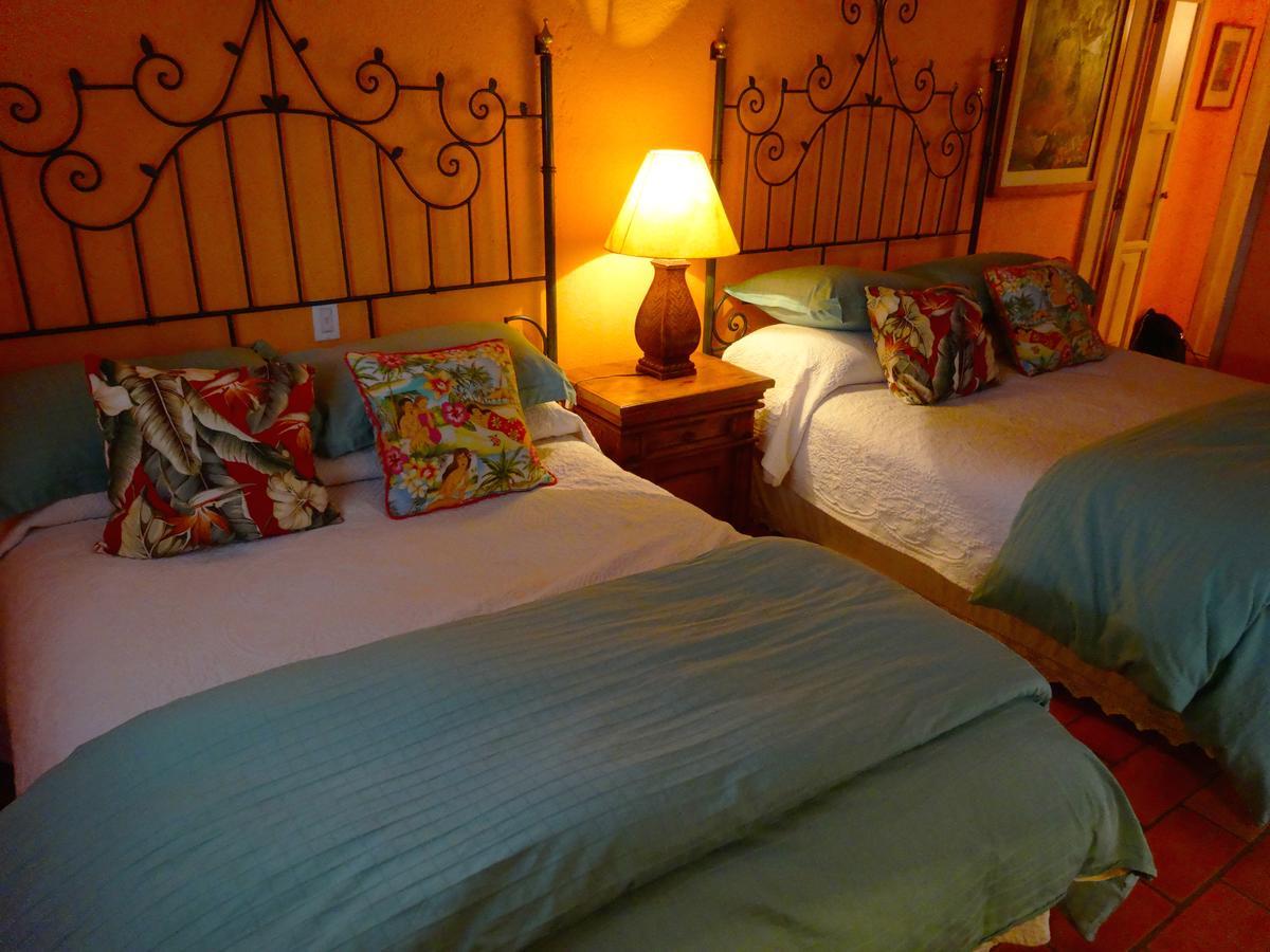 Junior Suite con Terrazza